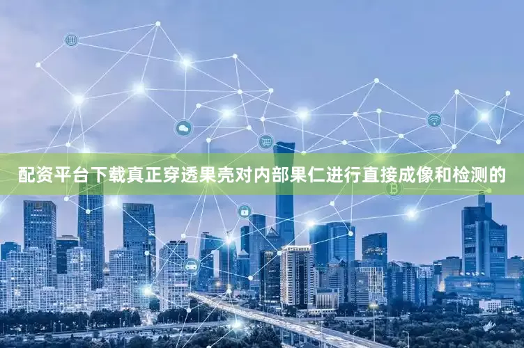 配资平台下载真正穿透果壳对内部果仁进行直接成像和检测的