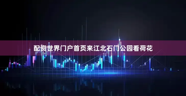 配资世界门户首页来江北石门公园看荷花